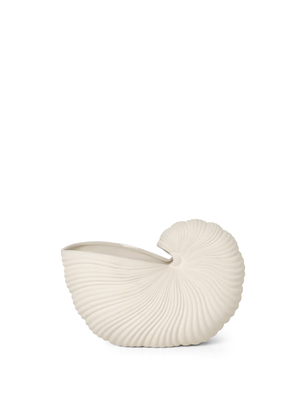Shell Pot
