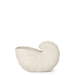 Shell Pot
