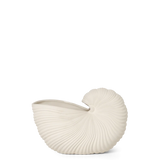 Shell Pot