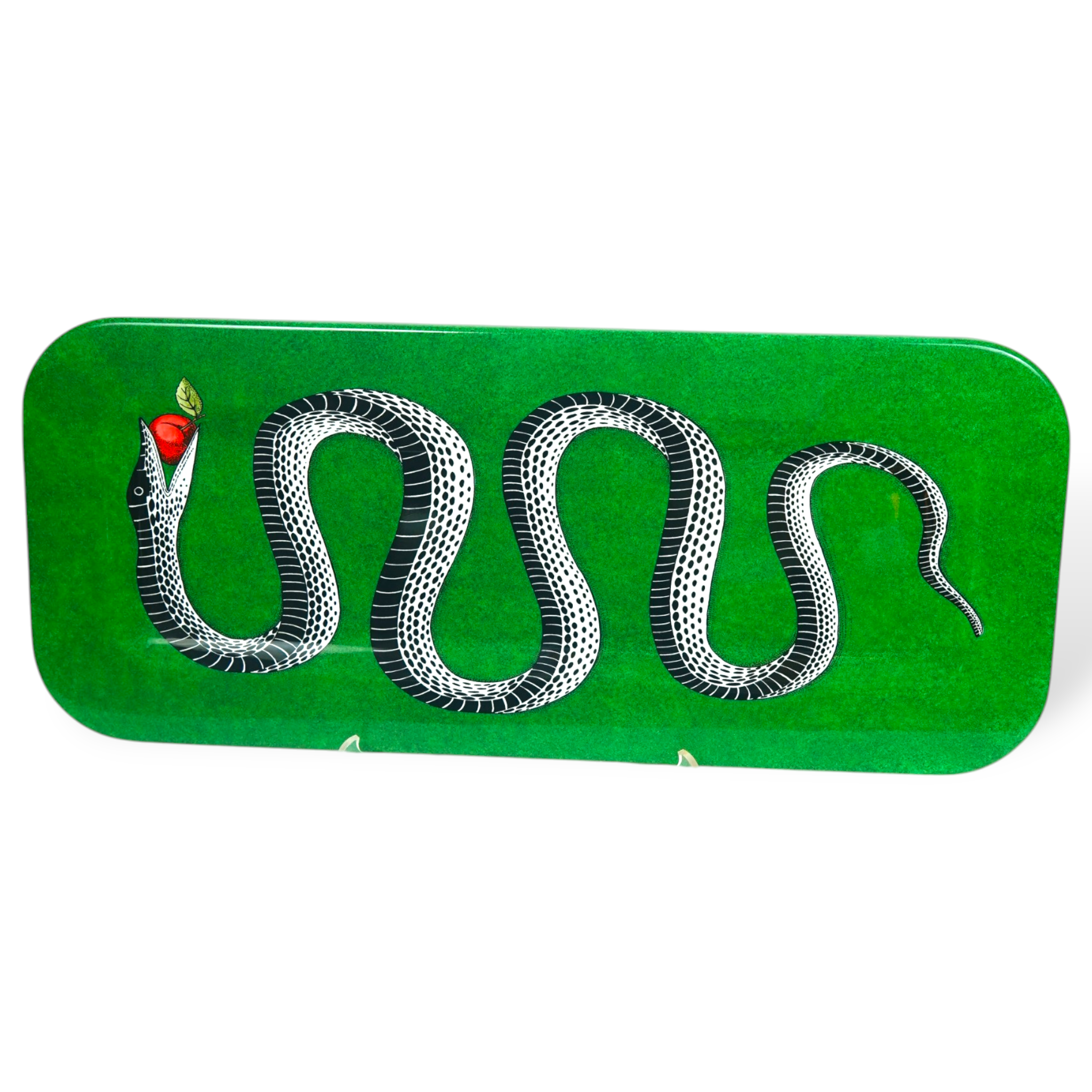 Tray Serpente Colour On Green Sponged