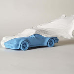Veiled Porsche