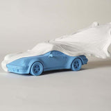 Veiled Porsche