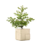 Aarde Square Xs - Sandstone