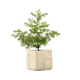Aarde Square Xs - Sandstone