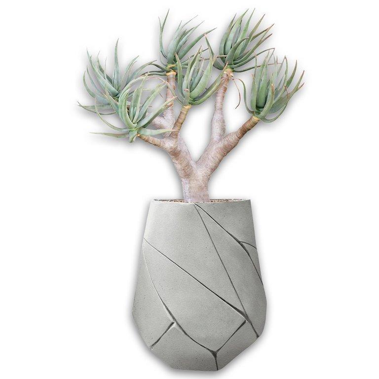 Bhaca Medium - Grey