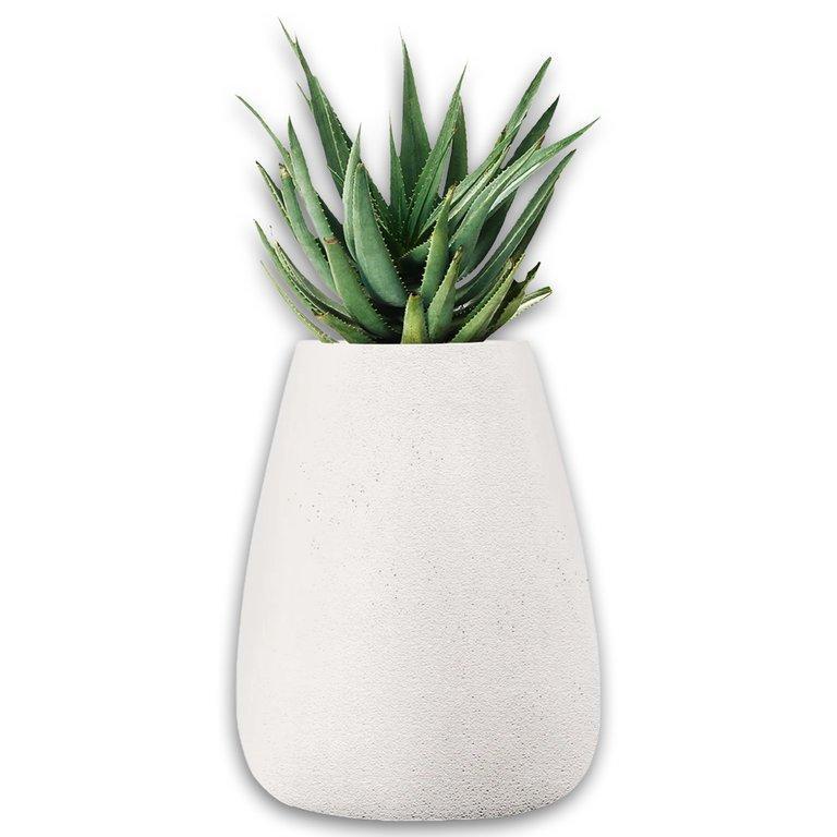 Tuber Medium - Stone - White