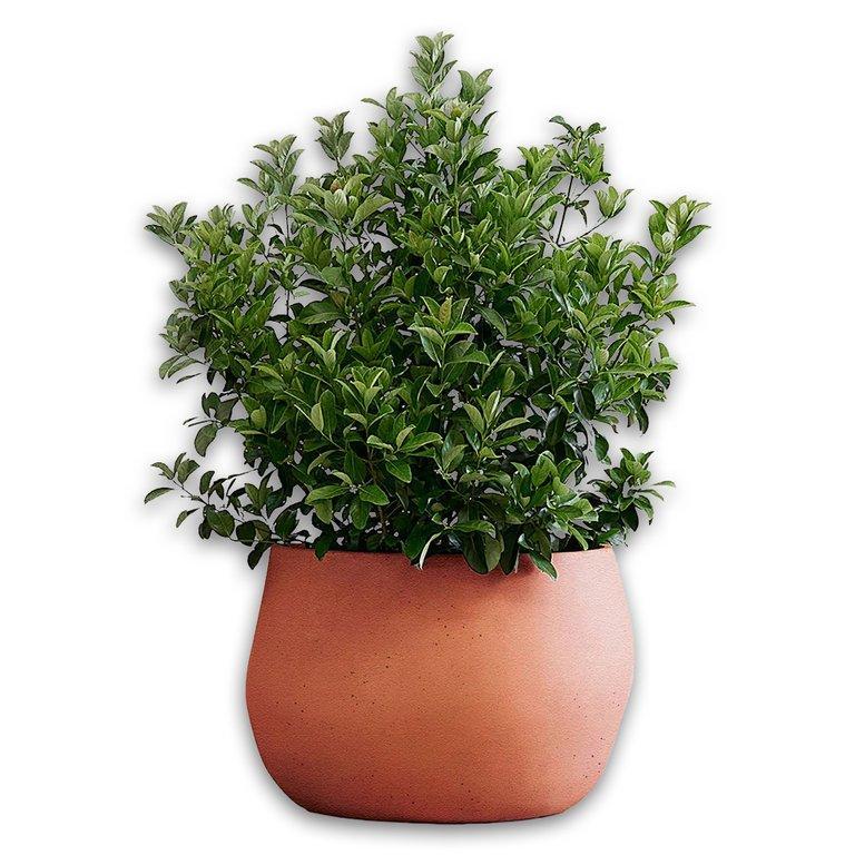 Pebble Small - Terracotta