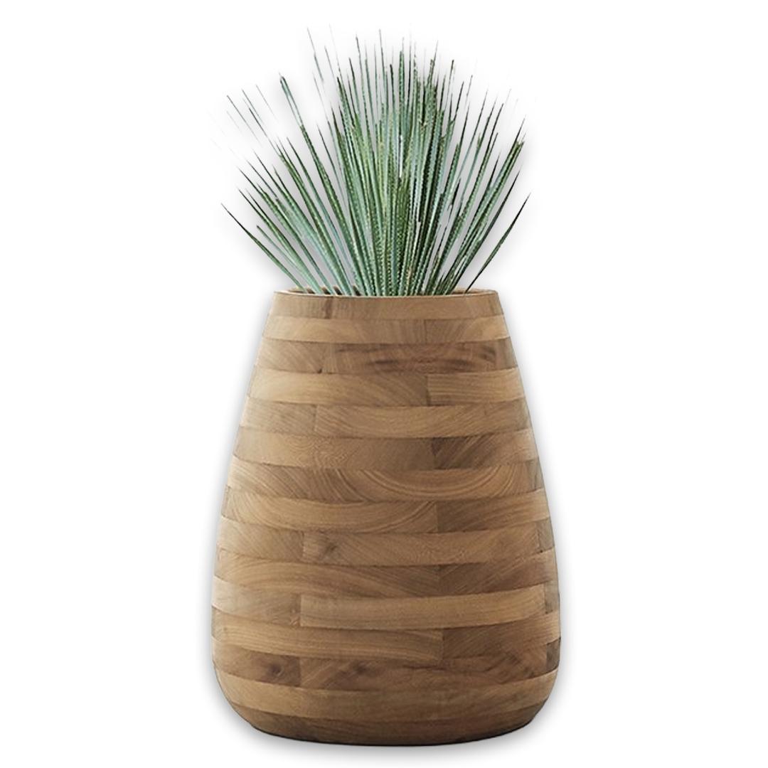 Tuber Medium