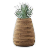 Tuber Medium
