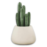 Tuber Small Vase Natural