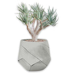 Bhaca Small - Grey