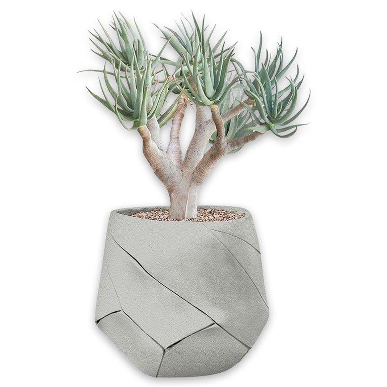 Bhaca Small - Grey