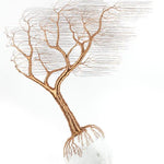 Enamelled Copper Wire And Pebble