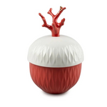 CORAL CANDLE. MEDITERRANEAN BEACH SCENT