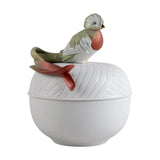 QUETZAL BOX