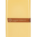 441502 Diffuser 5000 Ml Grigiomilano Skyline With Sticks