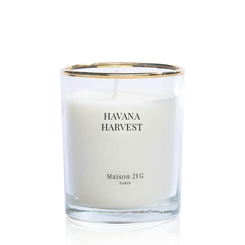 Bespoke Scented Black Demi Lune Candles - Halfmoon Candle Havana Harvest