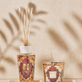 Gift Box My First Baobab Mexico