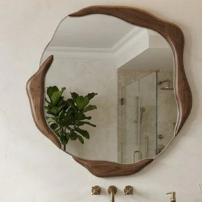NM-20049=  CURVE  MIRROR
