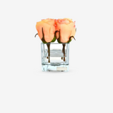 Peach Rose Buds Square Vase