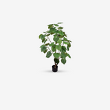Plant Green 120 Cm