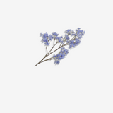 Campanula Spray Blue LT 113 CM