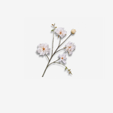 Rose Spray Cream 92 CM