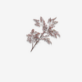 Mahogany Spray Burgund 99 CM