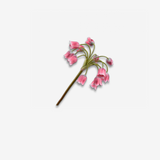 Fritillaria Stem PNK/BRN 68 CM