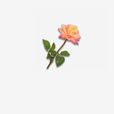 Rose Stem Peach 63 CM