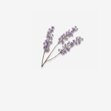 Blossom Acryl Lavend 111 CM
