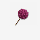 Allium Stem Beauty 79 CM