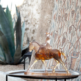 Cheval Andalusian Horsewoman