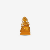 Amber Ganesh musician Veena