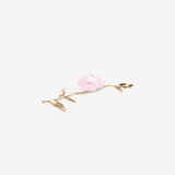 Pink Camellia Ornamental Flower