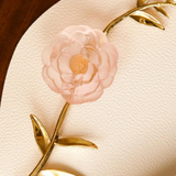 Pink Camellia Ornamental Flower