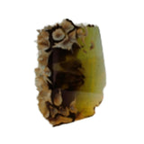 "STF 003 STONE FOREST N°3"