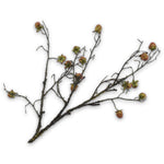 Black Berries Spray Green