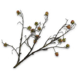 Black Berries Spray Green