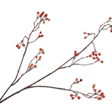 Berry Spray Orange - 133170