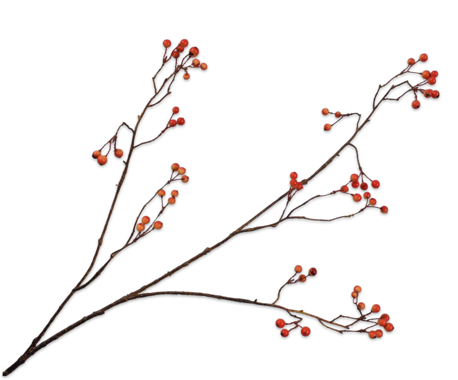 Berry Spray Orange - 133170