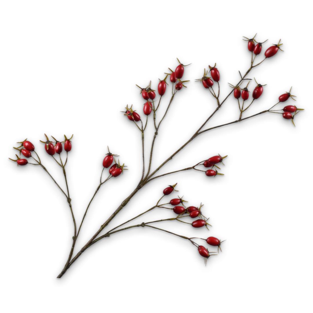 Rosehip Spray Red