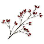 Rosehip Spray Red