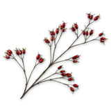 Rosehip Spray Red