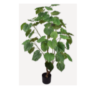 Plant Green-120Cm