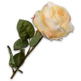 Rose Stem Yellow