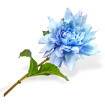 Dahlia Stem Bl/Prp