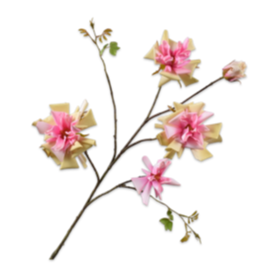 Rose Spray Pnk/Grn