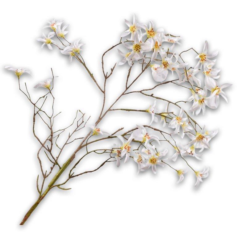 Forsythia Spray White