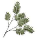 Fern Spray Green